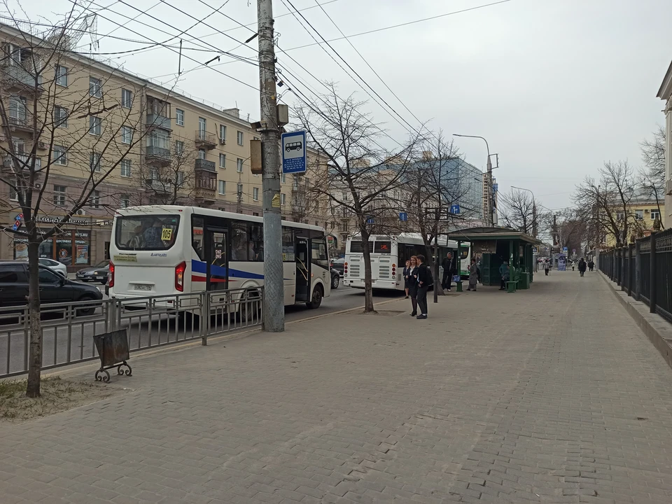 Фото: Гребенкина Анна.