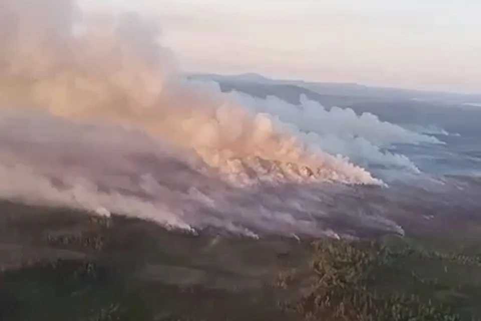 Ранее в минприроде сообщали, что все последние лесные пожары на Кольском полуострове возникали из-за людей. И тот, что случился в Зашейковском лесничестве, не исключение. Фото: Скриншот видео