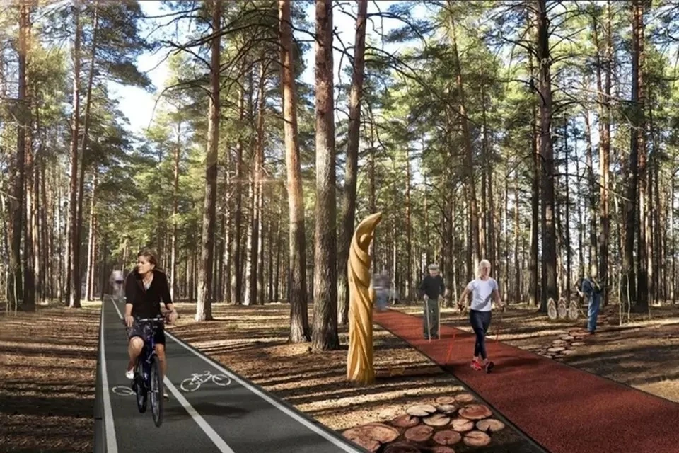 Крупнейшим объектом благоустройства по нацпроекту в 2021 году станет Заельцовский парк.