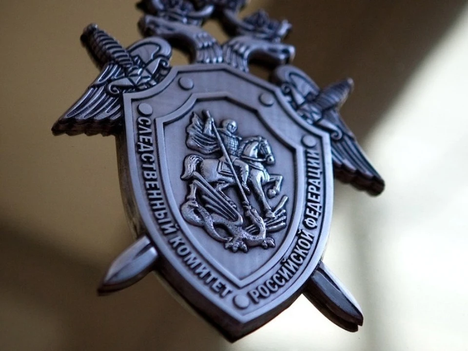Фото: пресс-служба Следственного комитета