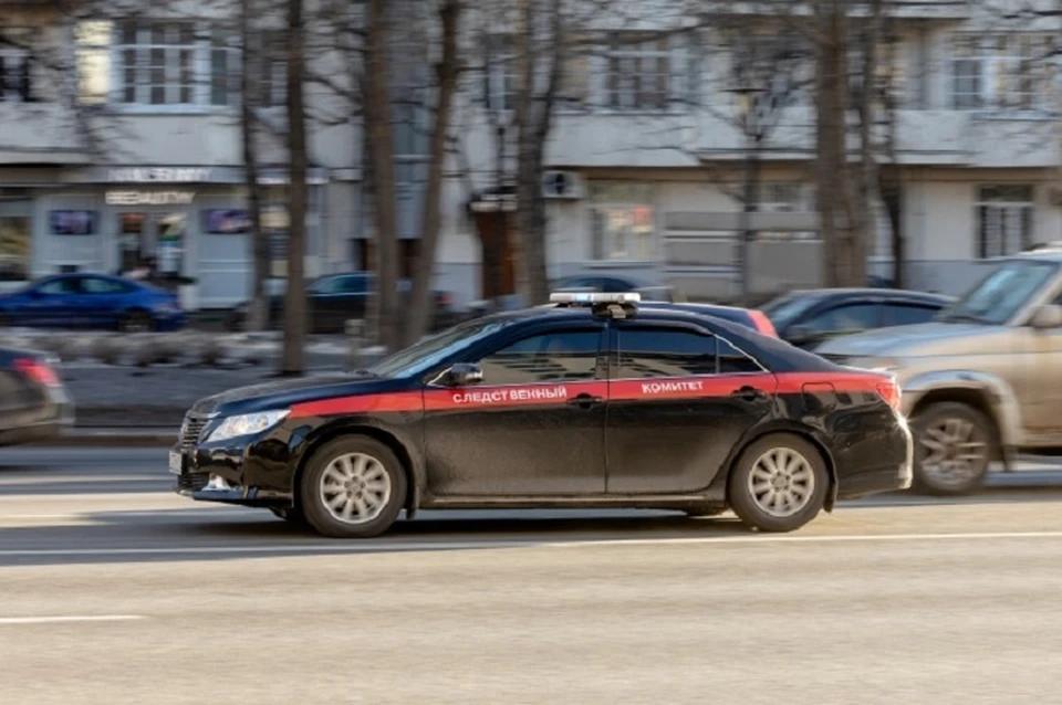 Пожизненный срок и тело, спрятанное в подвале: в Хабаровске раскрыли убийство 23-летней давности