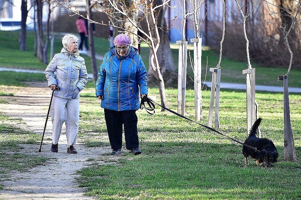 Опрос: около половины россиян рассчитывают на пенсию в 50 тысяч рублей