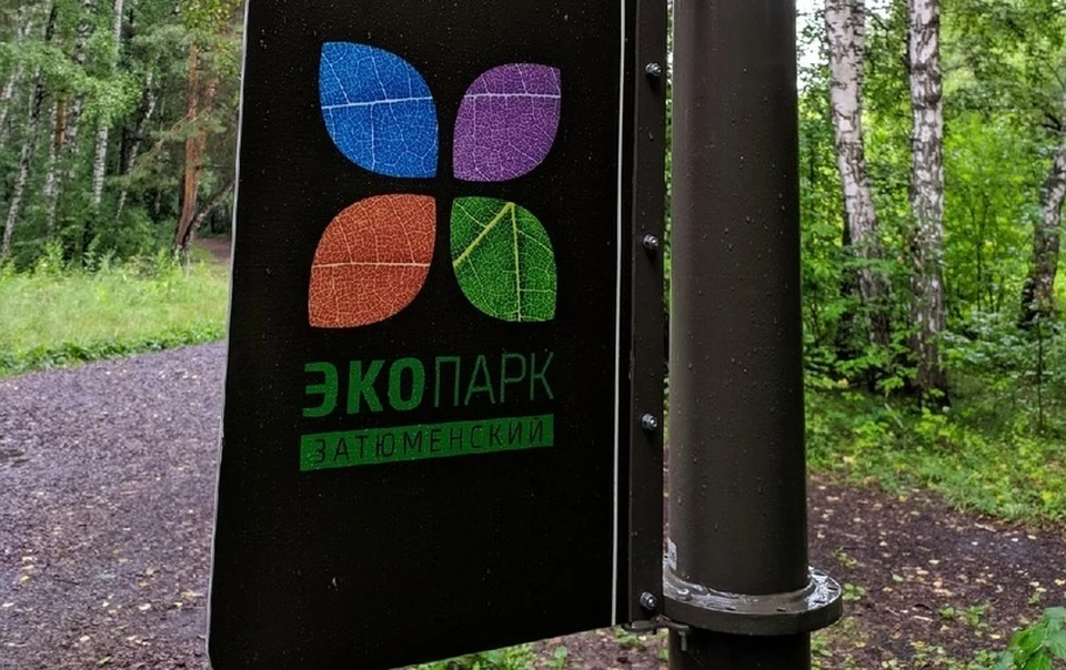 В тюменских скверах установят камеры видеонаблюдения.