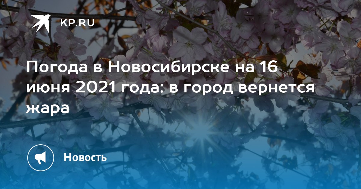 Погода в новосибирске на май 2024 г. Погода на 19 мая Новосибирск. Новосибирск погода 12 июня.