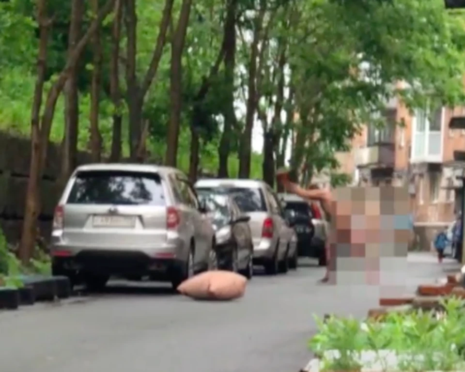 Мужчина принялся бить кирпичом припаркованный автомобиль. Скрин из видео телеграм-канала "Реактор Владивостока"