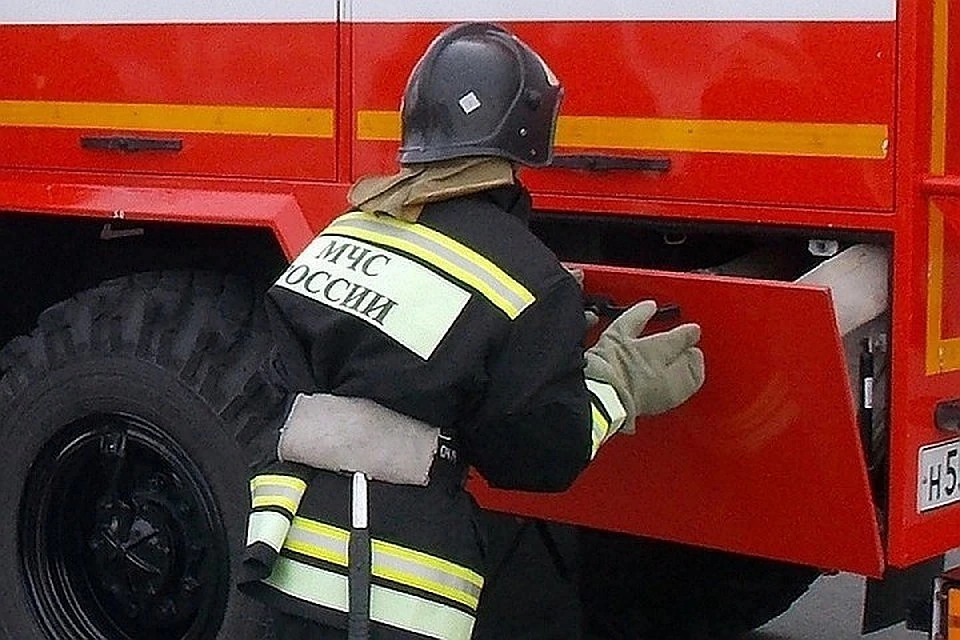 Спасатели потушили природный пожар в Тверской области