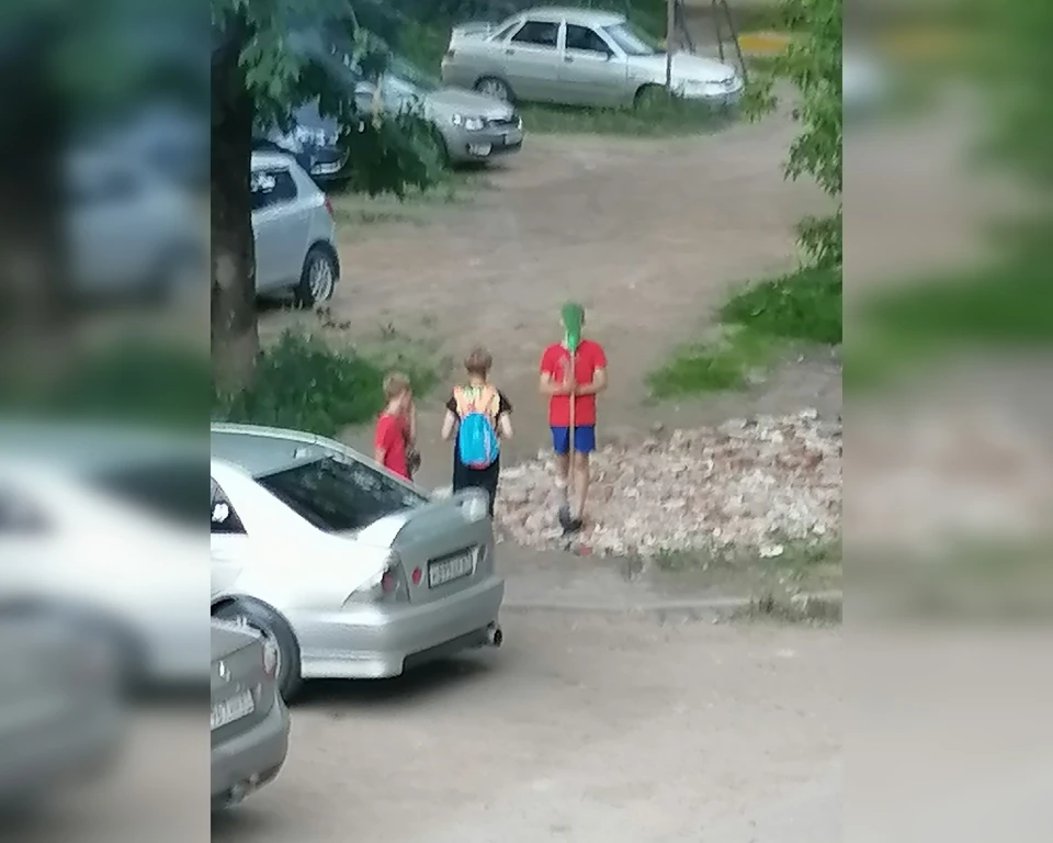 В Смоленске возмутились поведением детей, которые кидаются камнями в собак. Фото: Чёрный список | Смоленск ВКонтакте.