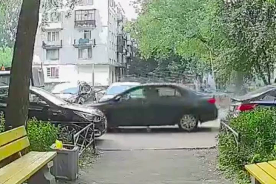 В Петербурге автомобилист раздавил котенка, попавшего под капот машины