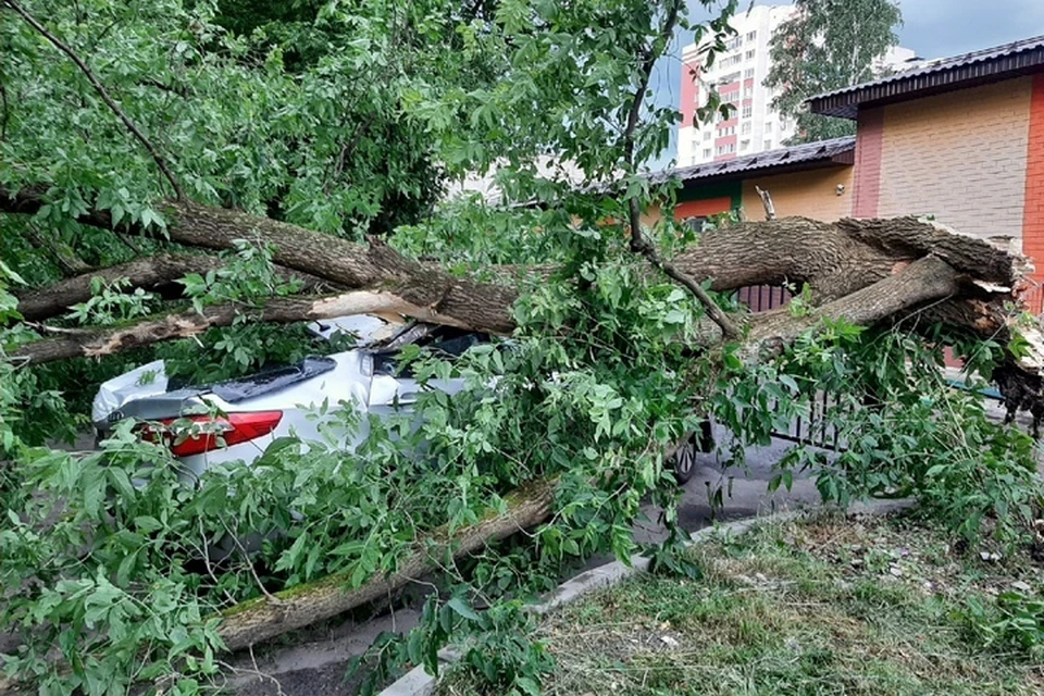 Фото: Антон Кабанов.