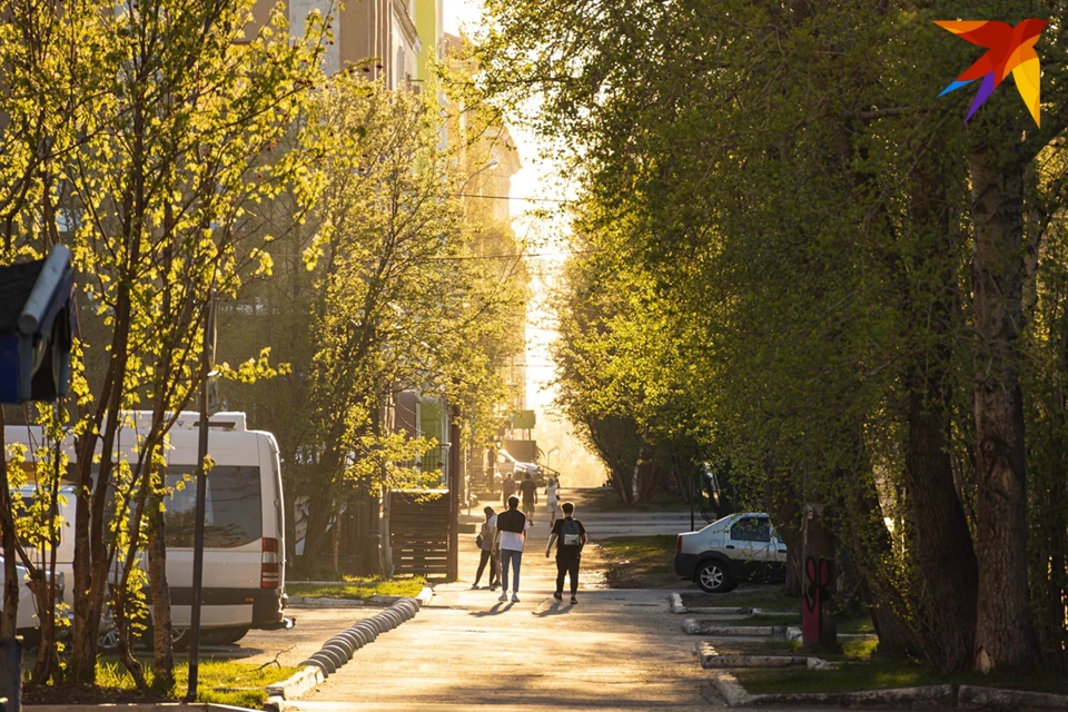 Прибывающие в Мурманскую область из-за границы должны сделать два теста и до получения результата находиться на самоизоляции.