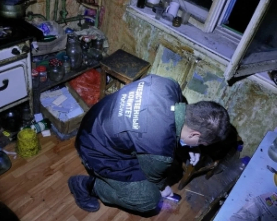 Убил и не заметил: в Богородицке парень двое суток выпивал рядом с трупом дяди