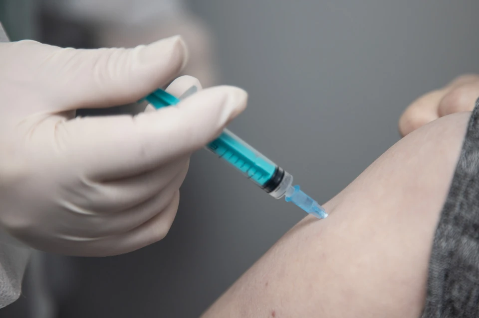 Новосибирский краеведческий музей подарит билеты вакцинированным посетителям.