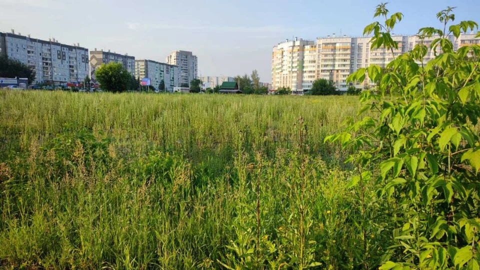 Каким будет наполнение огромной площади в 26 тысяч кв. м – решат жители района. Фото: КП-Красноярск