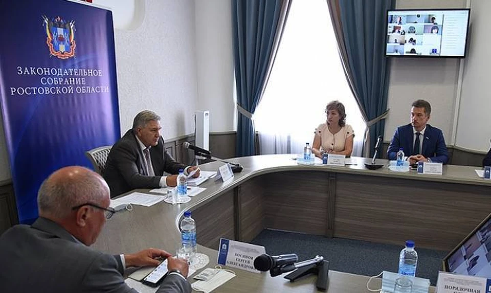 Донские парламентарии уверены, что принятие закона о распределенной опеке необходимо ускорить. Фото: пресс-служба ЗС РО