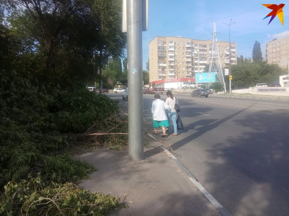 Саратовцы ходят по проезжей части, а тротуар завален ветками