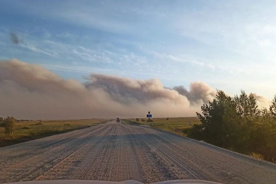 На юге Челябинской области остаются три очага лесных пожаров. Фото: t.me/kartalinka