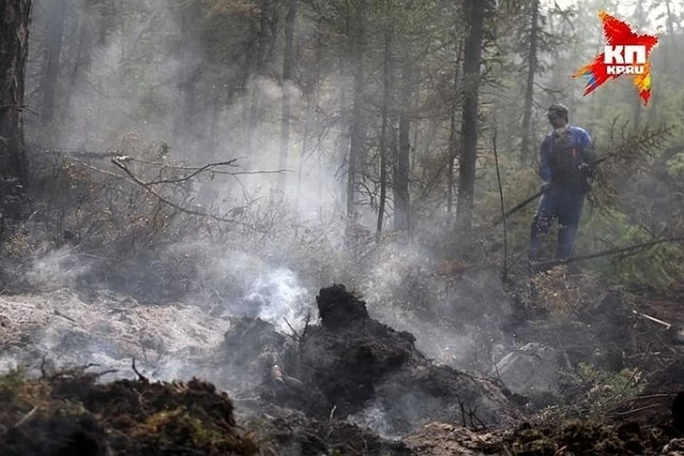 Статистику по лесным пожарам в Башкирии озвучил Минлесхоз