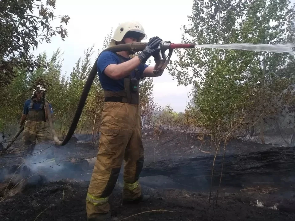 В Тольятти продолжают тушить лесной пожар. Фото: ГУ МЧС по Самарской области