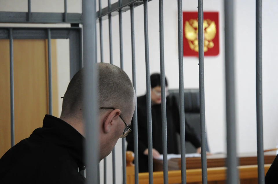 За жестокую расправу над щенком на глазах у детей сибиряка осудили на 2 года