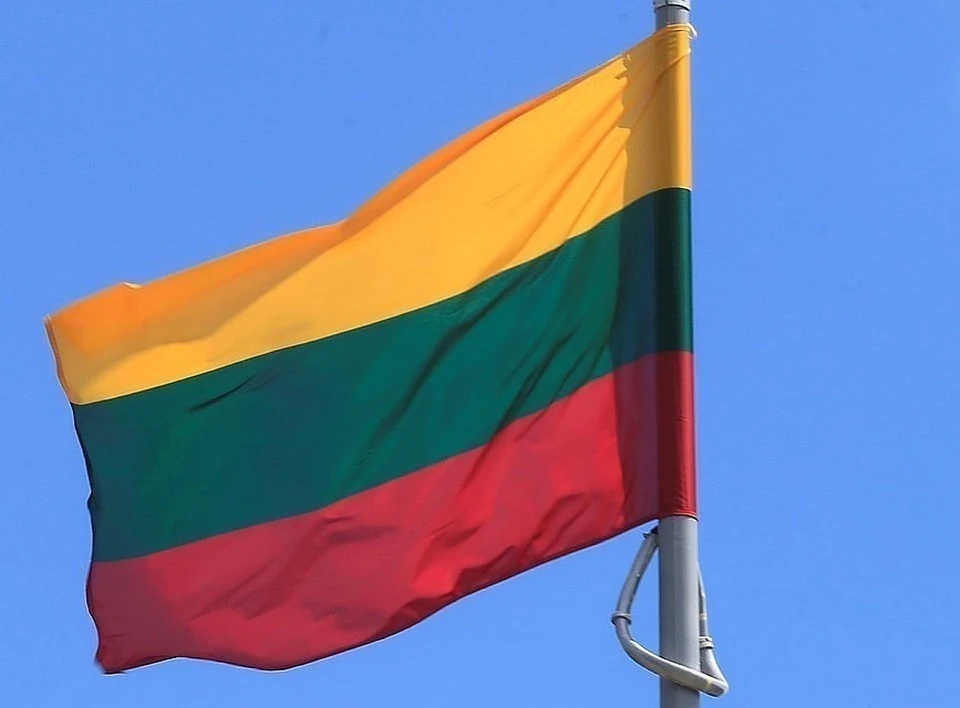 Еврокомиссия выделит Литве 10 миллионов евро на борьбу с нелегальной миграцией