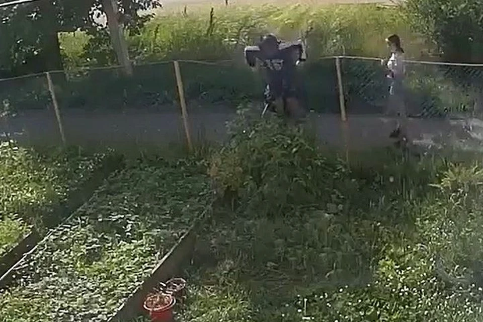 Выяснить, кто забрался на участок, помогла камера.