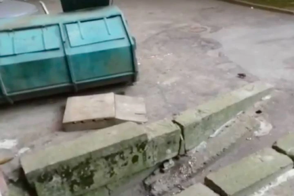 Жители Колпино пожаловались на полчища крыс у жилых домов