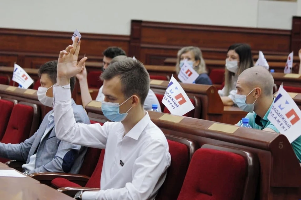 В Молодежном парламенте единогласно приняли предложение «О налоге на профессиональный доход». Фото: пресс-служба Молодежного парламента ДНР