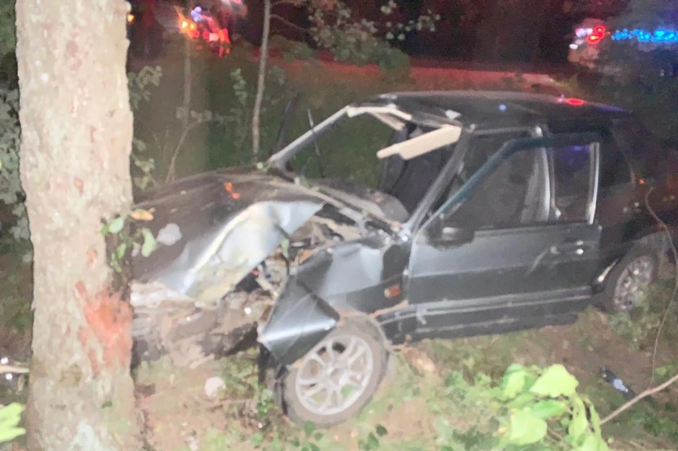 Липчанка на ВАЗ врезалась в дерево