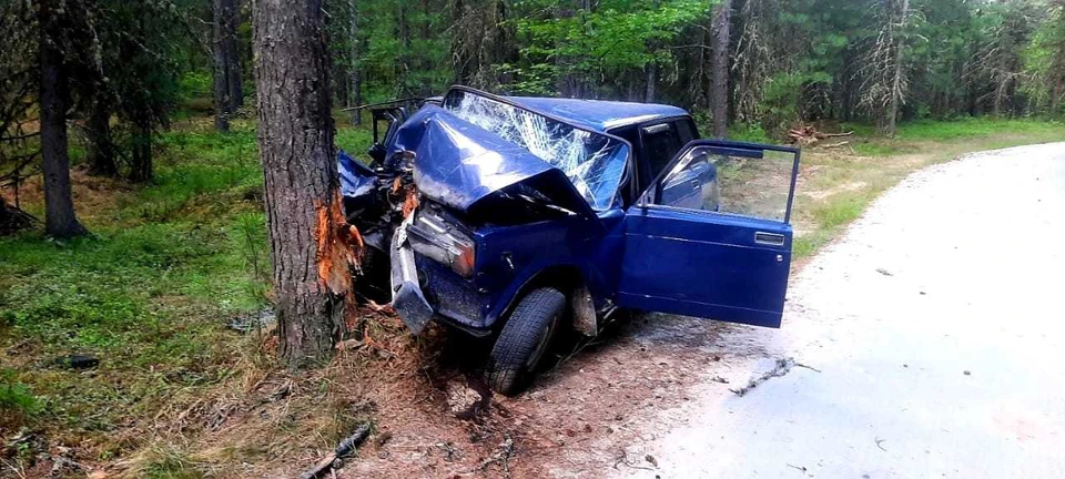 В Югре пьяный водитель врезался в дерево: одна из пассажирок не выжила
