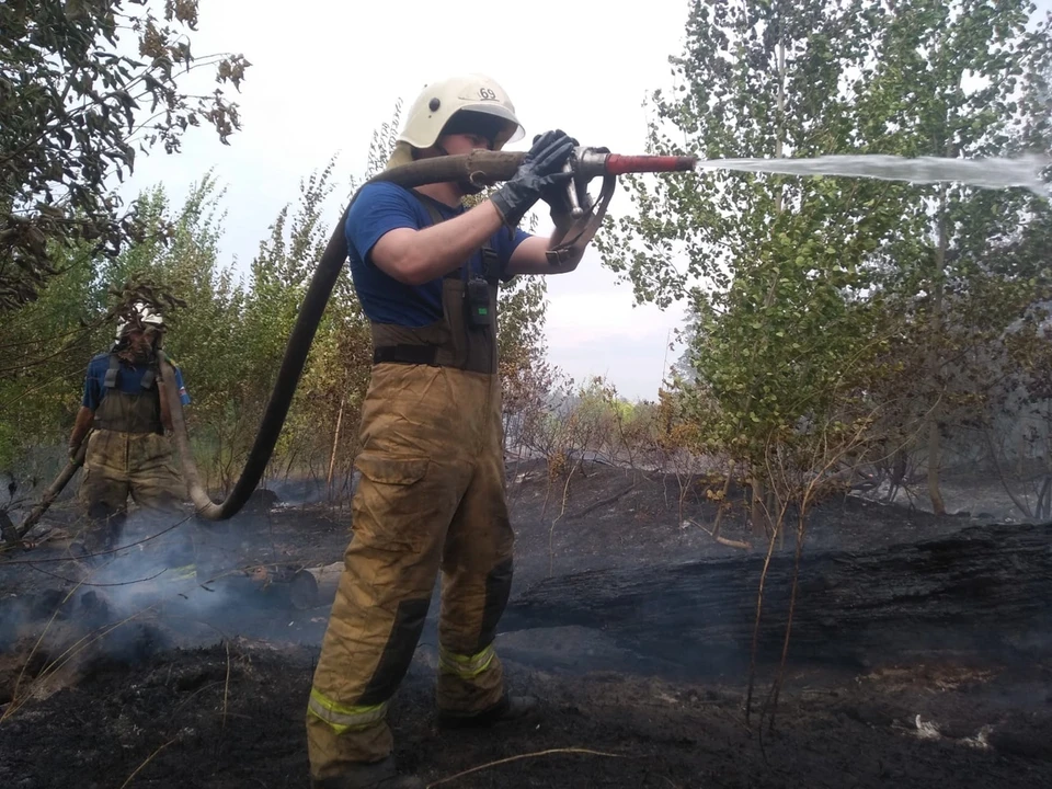 Пожар в лесу в Тольятти тушили с субботы. Фото - ГУ МЧС России по Самарской области