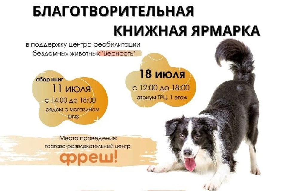 В Ярославле пройдет ярмарка в поддержку бездомных животных. Фото: центр реабилитации животных "Верность"