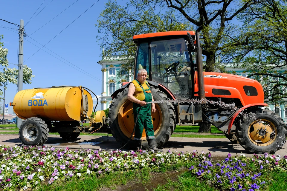 В Петербурге в аномально жаркую погоду усилили полив территорий зеленых насаждений.
