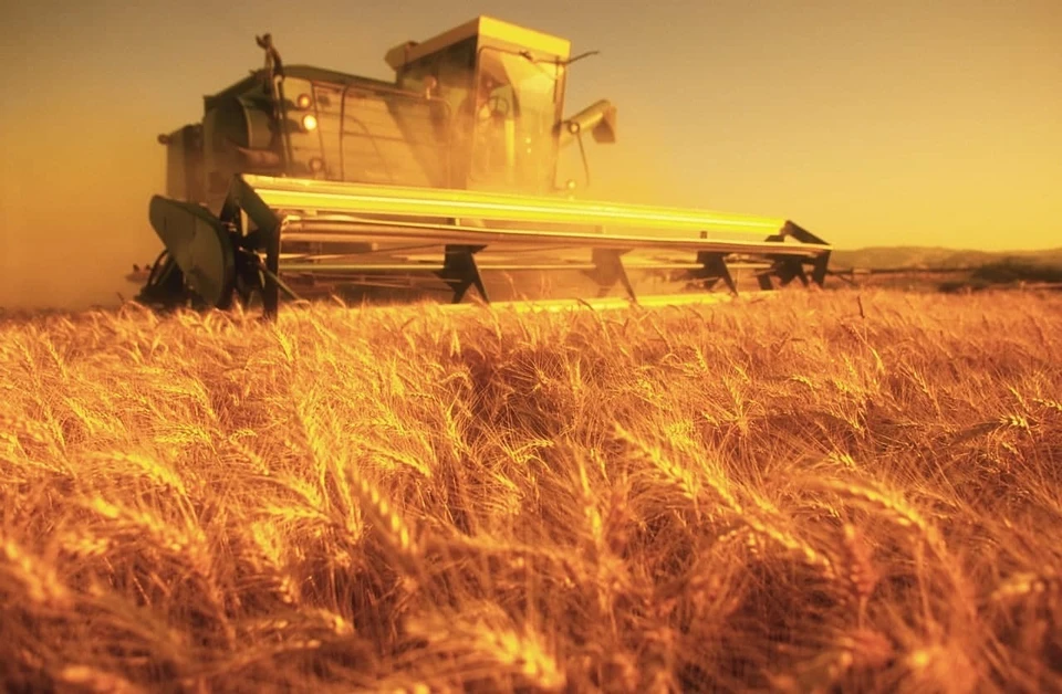 В регионе собрали первый миллион тонн зерна нового урожая