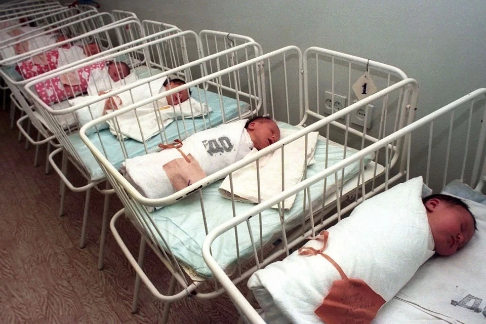 Демограф предложил обеспечить семейные пары дополнительными льготами, чтобы повысить рождаемость