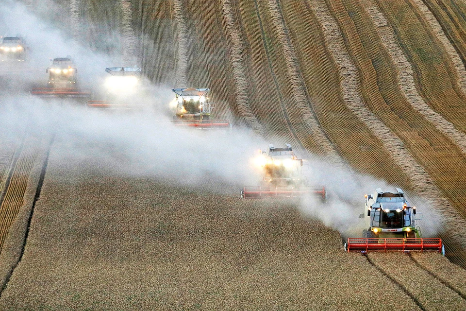 Комбайны убирают урожай пшеницы. Ставропольский край, Россия.