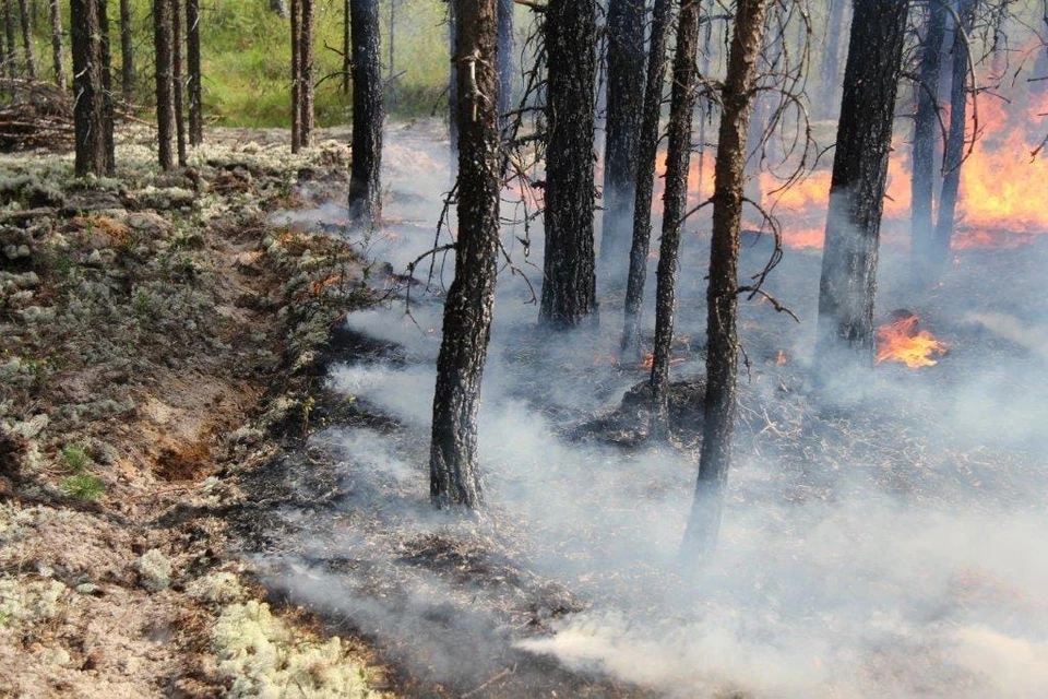 Пожар в Усть-Цилемском районе - самый крупный в Коми. Фото Коми регионального лесопожарного центра