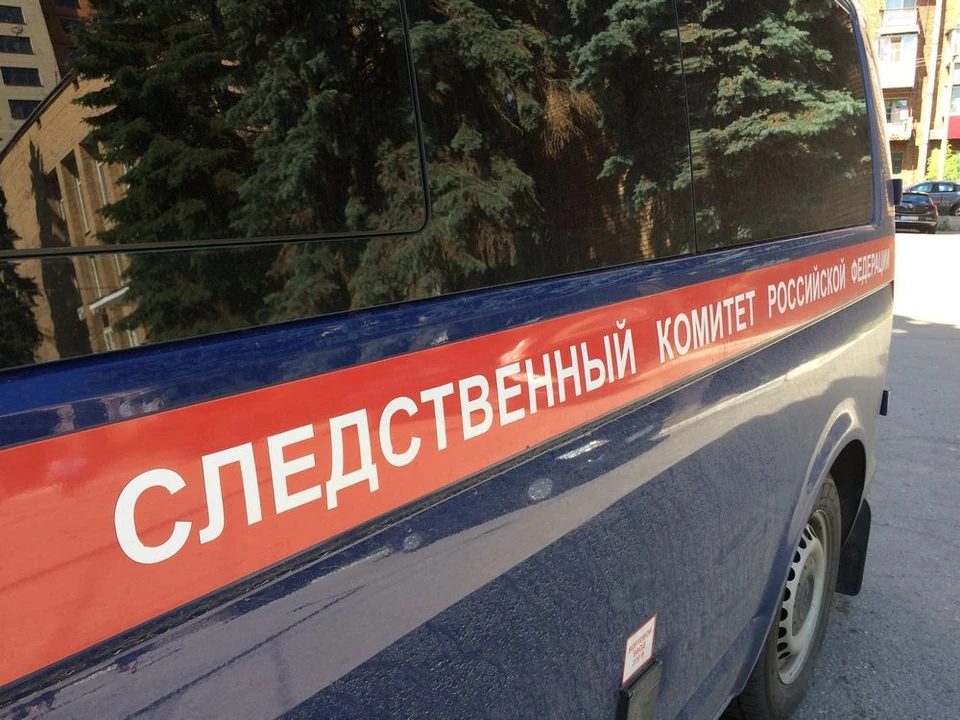 Тульские следователи начали проверку насильного удержания женщины и ребенка под Ефремовом