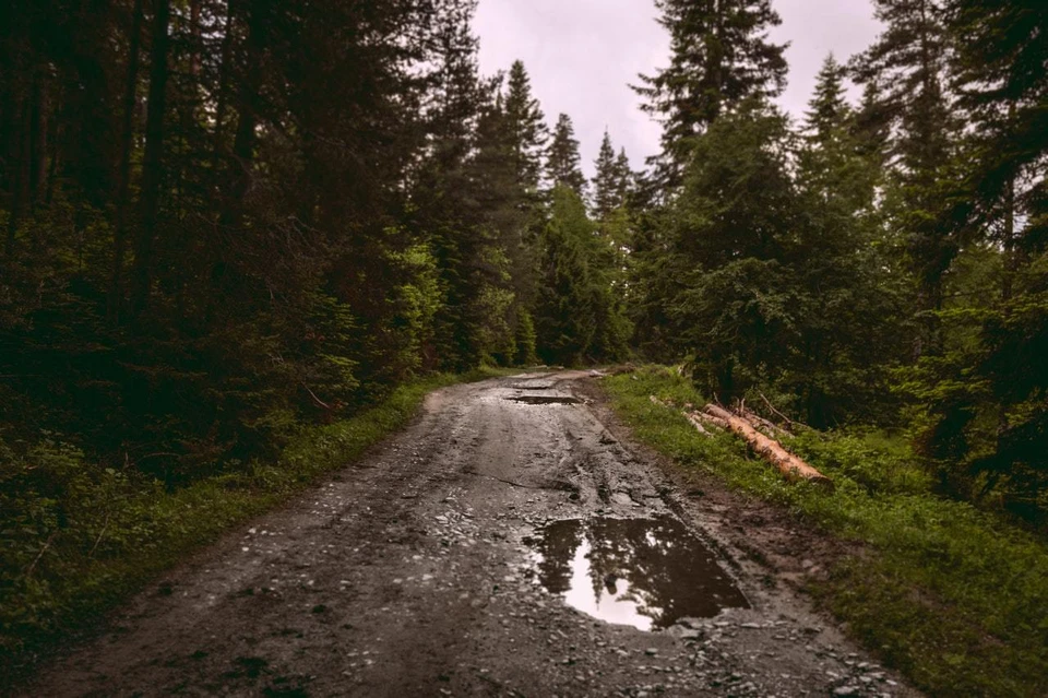 Фото: pexels.com