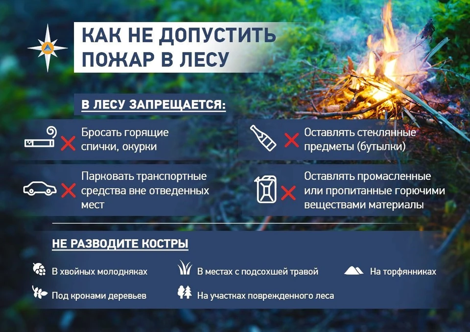 В случае обнаружения лесного пожара звоните по телефону «101» или «112».