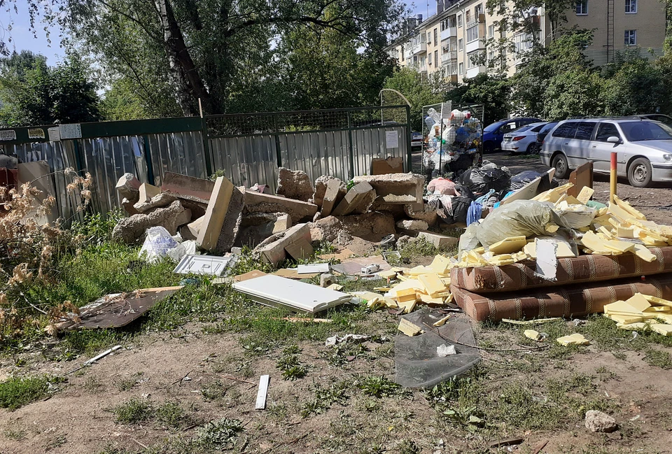 Жители пожаловались на неубранный мусор и деревья Фото: минприроды Тверской области