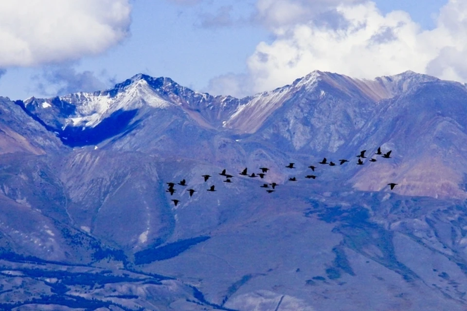 Народный календарь на 26 июля