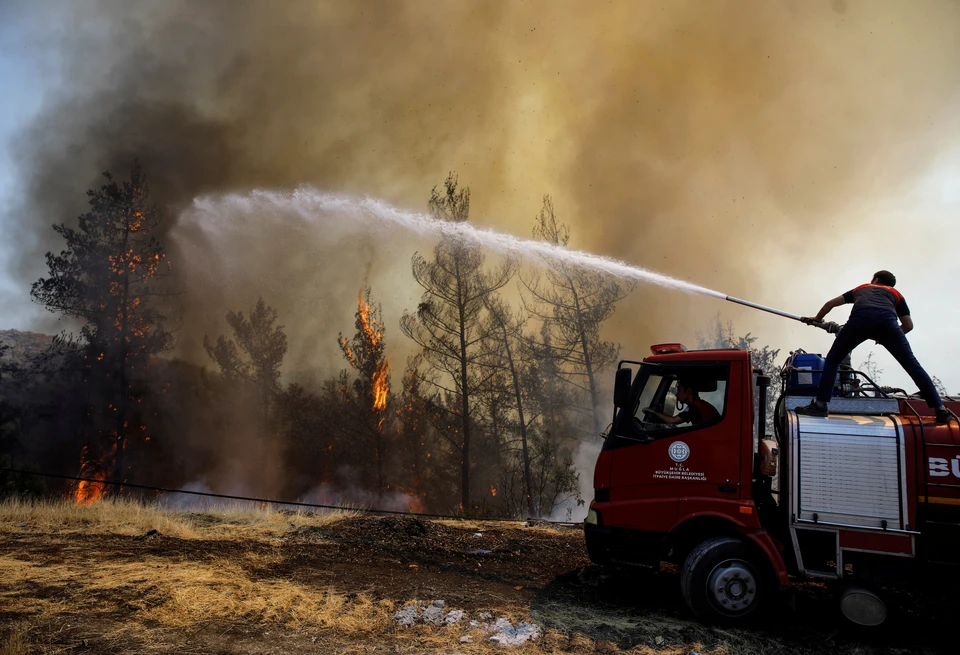 Турция продолжает борьбу с лесными пожарами