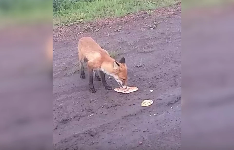 Фото: Подслушано Воркута