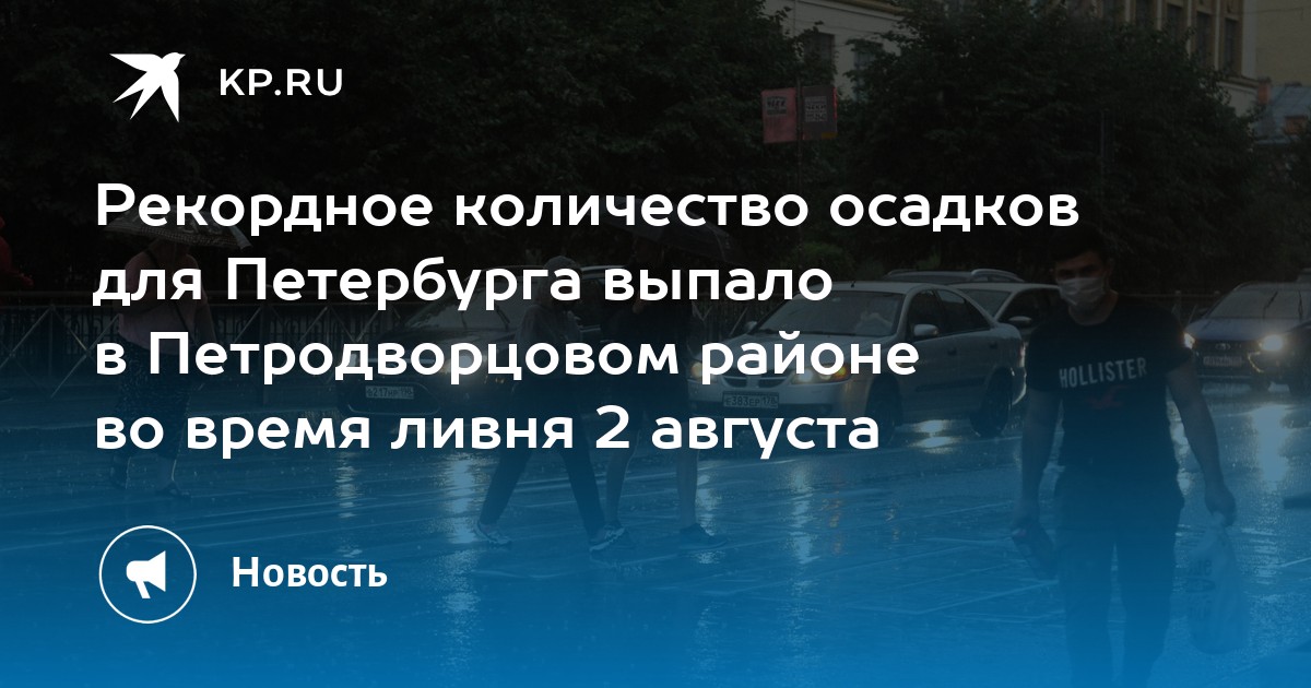 Рекордное количество осадков для Петербурга выпало в Петродворцовом