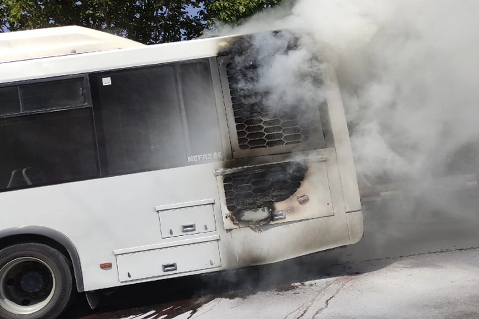 С начала года в Ростове зафиксировали несколько подобных случаев. Фото: соцсети