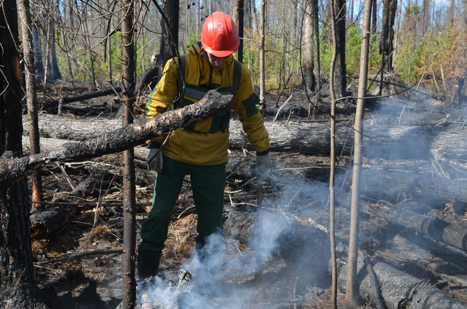 Почему больше 4 тысяч человек не могут потушить пожары в Якутии. Фото: Лесопожарный центр