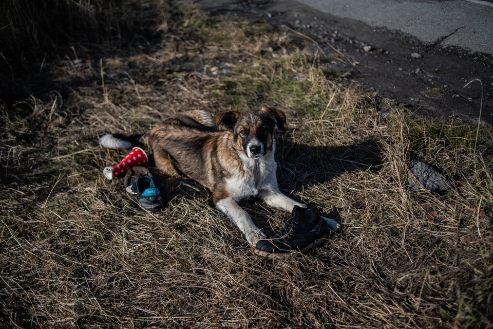 Фото: Виктор Гусейнов
