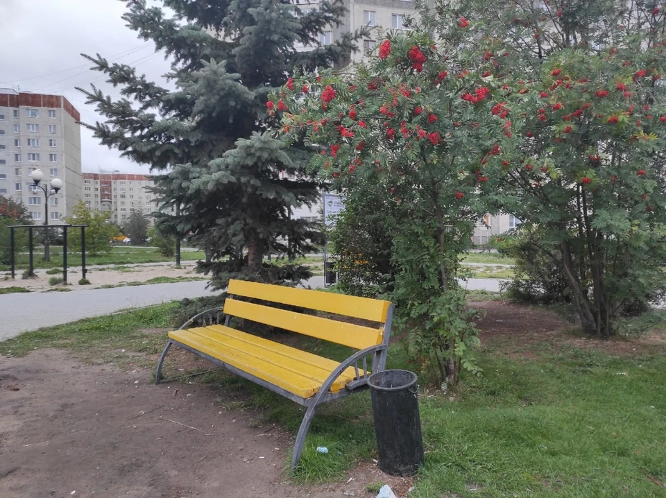 В Тюмени плюс 25.