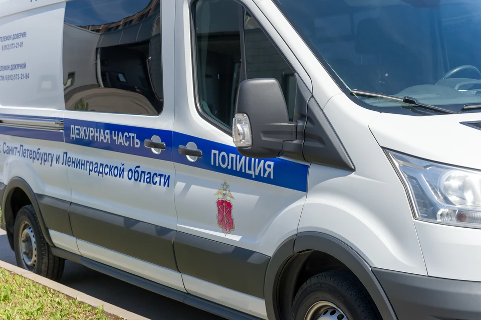 На Парнасе погиб подросток, увлекавшийся аниме.