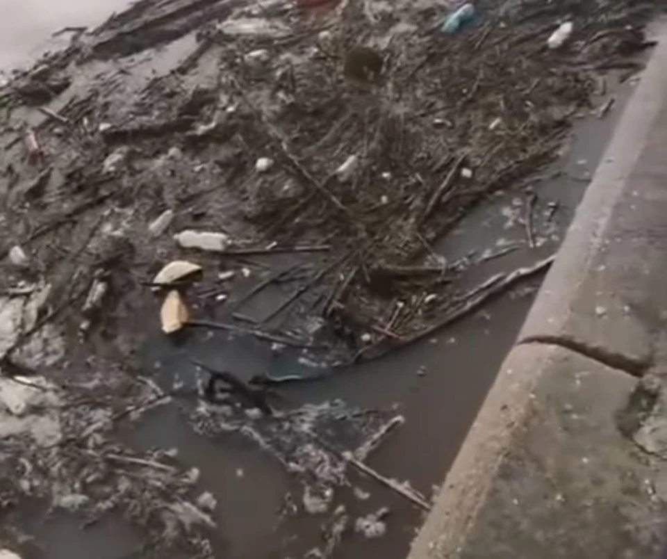 «Плавающая свалка»: паводок в Хабаровске спровоцировал попадание мусора в Амур. Фото: стоп-кадр видео @newskhv